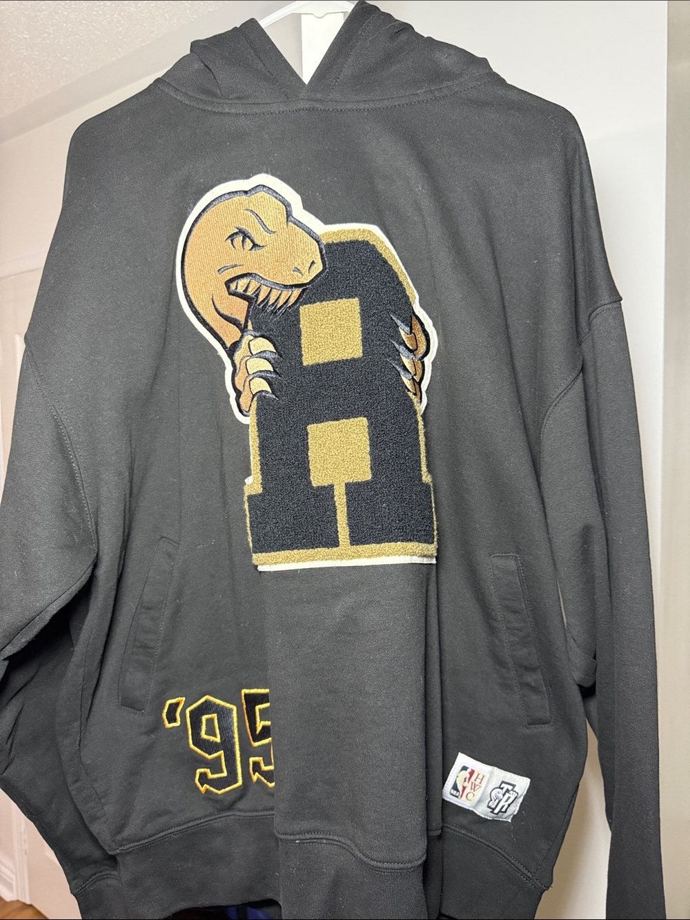 Toronto’s Raptors Hoodie - Special Edition